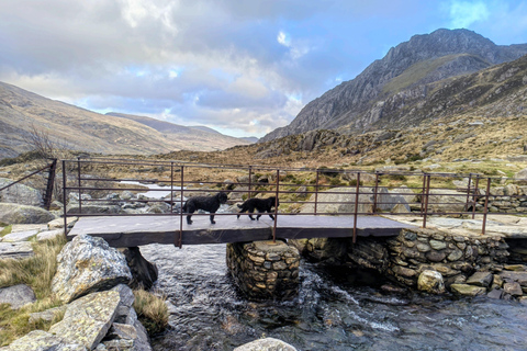 Snowdonia's Mountains Lakes & Waterfalls Private Hike