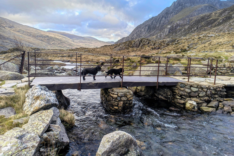 Snowdonia's Mountains Lakes & Waterfalls Private Hike