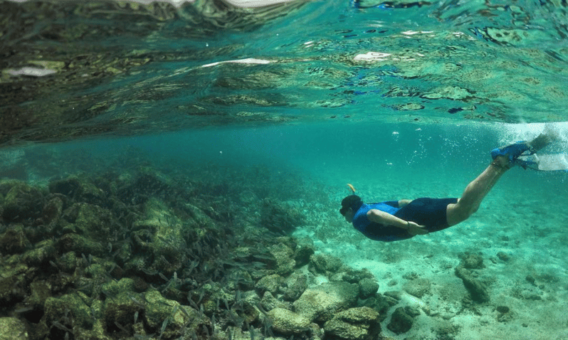 The BEST Santa Cruz Island Galapagos Islands Snorkeling 2024