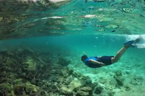 Giornata intera sull'isola di Pinzon, con conclusione a La Fe con lo snorkeling