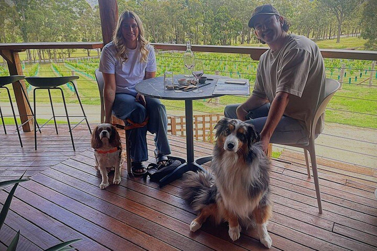 Cael's Gate Wine Tasting with Cheese and Charcuterie Board