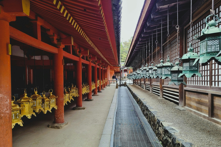 Osaka: Osaka /Nara Customize Day Trip With English Speaking.