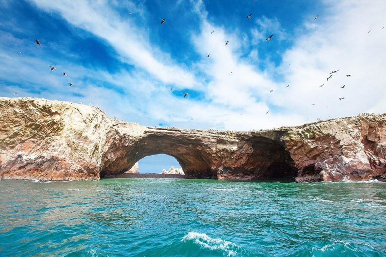 From Lima Private: Paracas & Huacachina with Lunch and Buggy