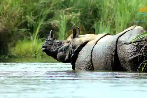 Chitwan Nepal: Chitwan National Park Safari 3-Day Tour