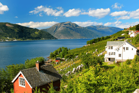 Oslo: Trein- en bustour naar Bergen via Hardangervidda/Fjord