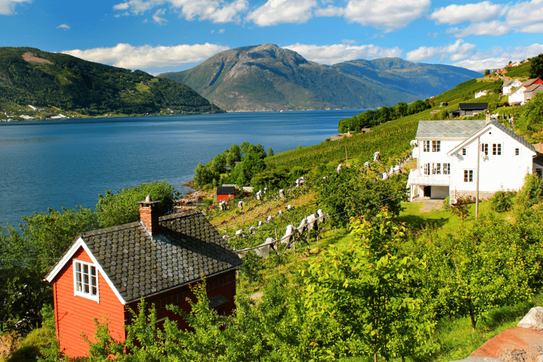 Oslo: Train and Bus Tour to Bergen via Hardangervidda/Fjord