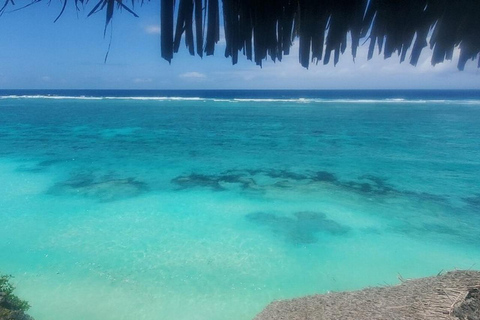 Zanzibar: Floresta de Jozani, centro de borboletas e praia de MtendeTour particular com traslado de ida e volta no hotel incluído