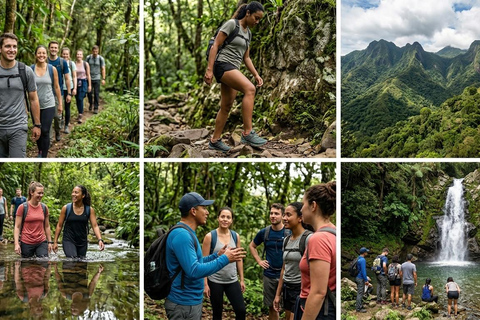 Trekking and Fresh Air in the Farallones de Cali