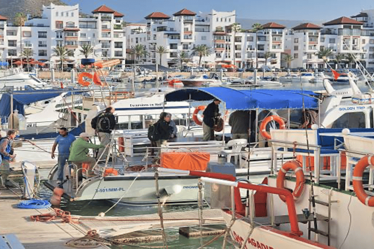 Agadir: Tour guiado na cidade com Kasbah e Souk El Had