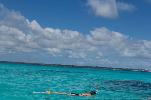 Zanzibar: Mnemba snorkelling and dolphin tour With Hotel Pickup from all Kendwa and Nungwi hotels
