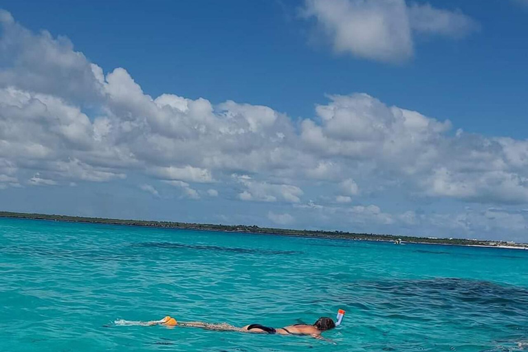 Zanzibar: Mnemba snorkelling and dolphin tour With Hotel Pickup from all Kendwa and Nungwi hotels
