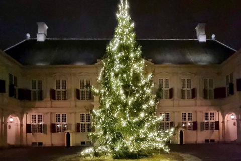 Kunglig vinterkvällsvandring