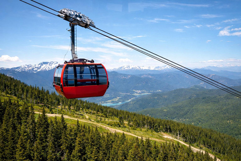 Whistler Small-Group Tour with Shannon Fall & Sea-to-Sky