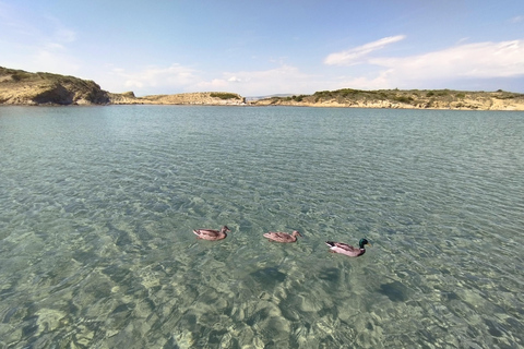 Rab : location de kayaks transparents à LoparRab : Location de kayaks transparents à Lopar