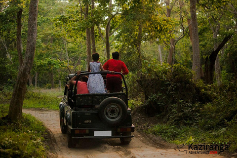 Chitwan Jungle safari 2 Nights 3 Days from Kathmandu Jungle safari 2 Nights 3days from Kathmandu