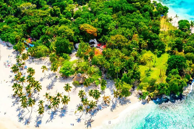 Punta Cana: Samaná ATV Tour with Lunch & Beach Swim