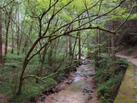 From Matsumoto/Nagano, Nakasendo Trail Walking Tour - Housity