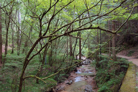 From Matsumoto/Nagano: Nakasendo Trail Walking Tour From Hotel Kokusai 21