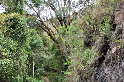 CAMINHO DO OURO - Geführte Tour durch den Atlantischen Wald, Wasserfälle und Geschichten.