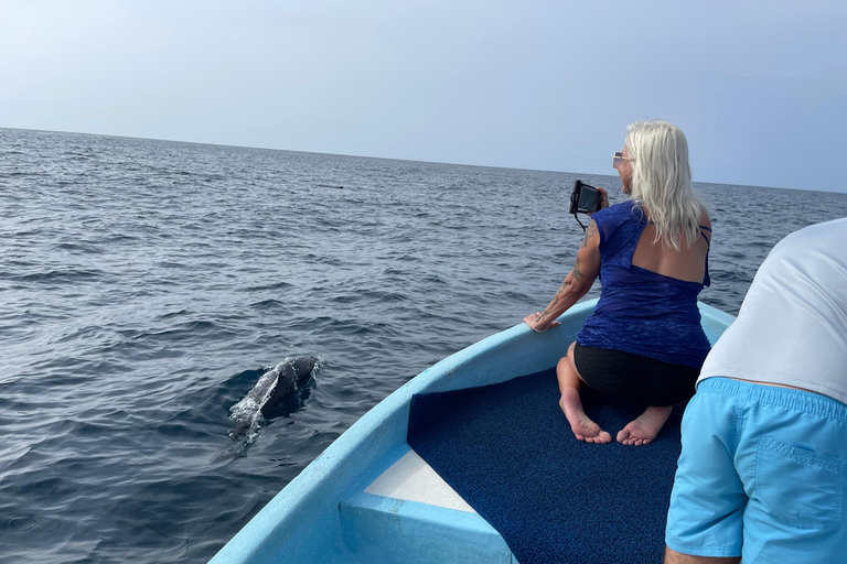 Puerto Escondido: Bootstour zu Delfinen und MeerestierenPrivate Tour