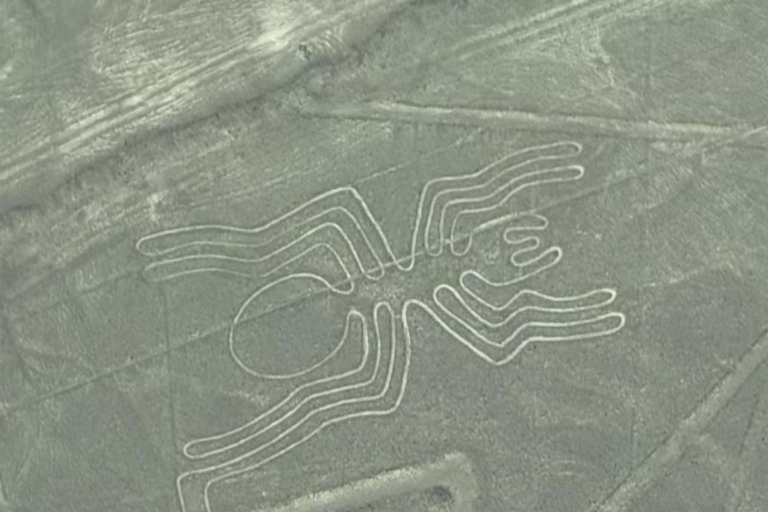 Nazca: Nazca Lines Flight with Hotel Pickup