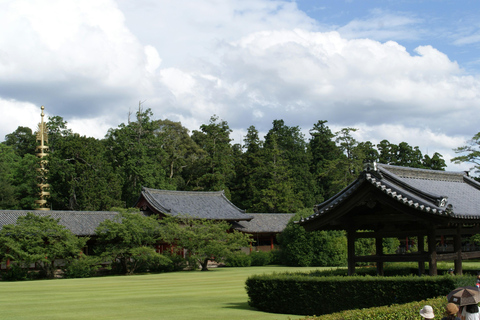 Nara World Heritage: Asuka E-Bike & Megalith Cycling Tour