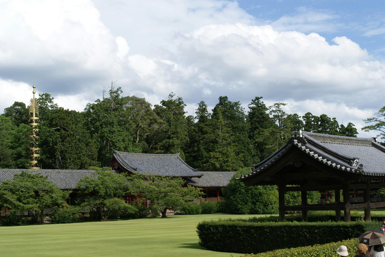 Nara World Heritage: Asuka E-Bike & Megalith Cycling Tour