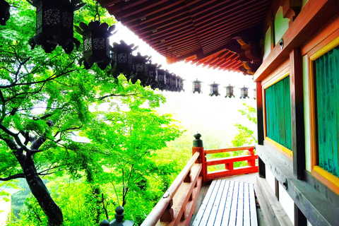 Nara: descubra un gigantesco Buda de piedra en las colinas boscosasNara: descubre un gigantesco Buda de piedra en las colinas boscosas