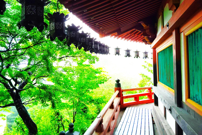 Nara: descubra un gigantesco Buda de piedra en las colinas boscosasNara: descubre un gigantesco Buda de piedra en las colinas boscosas