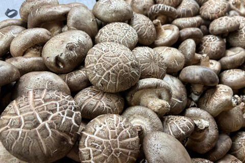 Seul: passeio gastronómico pelo mercado de Cheongnyangni com sobremesa DIYSeul: Tour gastronómico pelo mercado de Cheongnyangni com sobremesa DIY