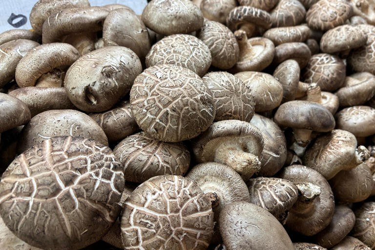 Seul: passeio gastronómico pelo mercado de Cheongnyangni com sobremesa DIYSeul: Tour gastronómico pelo mercado de Cheongnyangni com sobremesa DIY