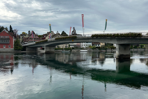 From Zurich: Private Tour to Rheinfalls and Stein am Rhein