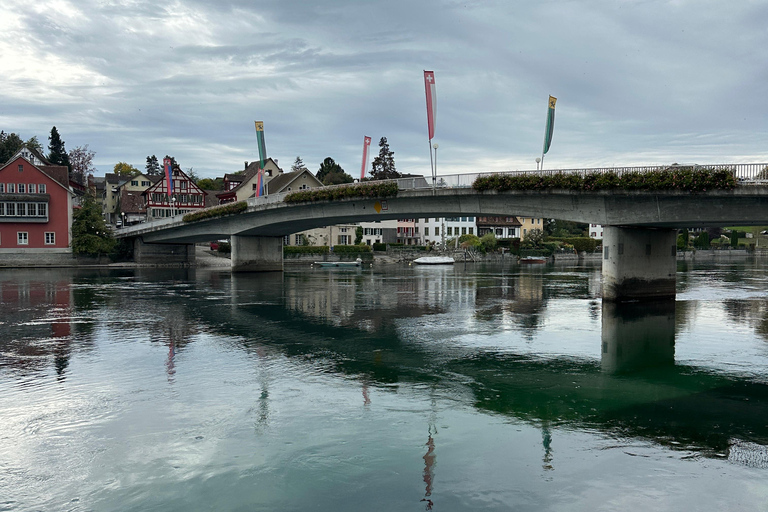 From Zurich: Private Tour to Rheinfalls and Stein am Rhein