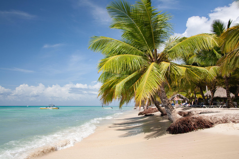 From Punta Cana: Saona Island Tour by Catamaran with Open Bar and Buffet Option with transportation from Punta Cana