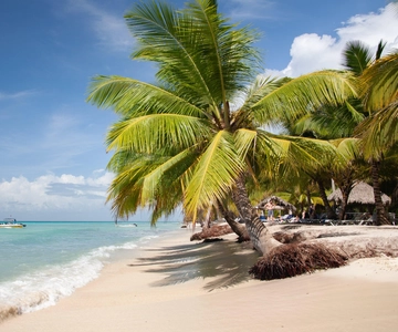 From Bayahibe: Saona Island tour by catamaran with open bar and buffet