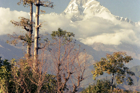 From Pokhara: 7-day Khopra Trekking Adventure The Khopra Trek Adventure with Guide.