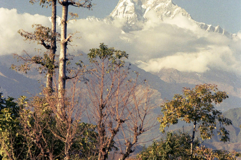 From Pokhara: 7-day Khopra Trekking Adventure The Khopra Trek Adventure with Guide.