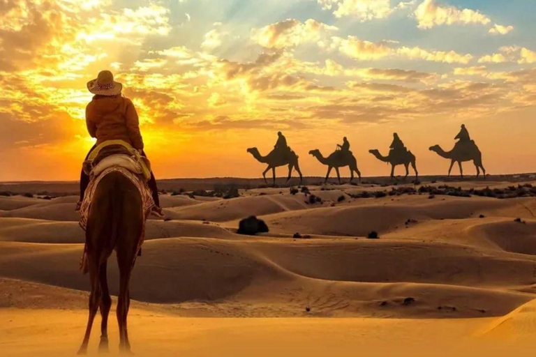 Doha: Wüstentour mit Kamelreiten, Sandboarding &amp; EssenDoha: geführte Wüstentour mit Kamelreiten, Sandboarding &amp; Essen