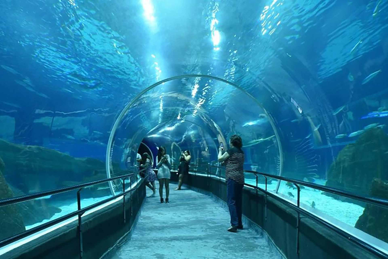 Discover AquaRio & Olympic Boulevard: Marine Life and Art