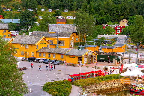 Bergen: Flåm Railway, Nærøyfjord Cruise & Stegastein View