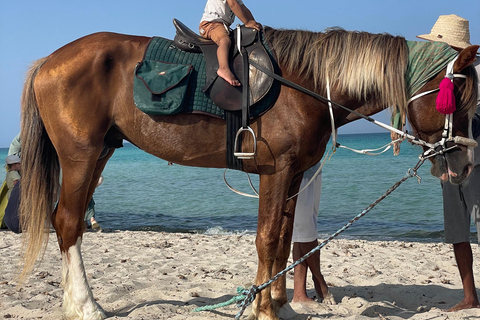 Djerba: 1,5-stündiger Ausritt an den Stränden der Insel und durch die Lagune