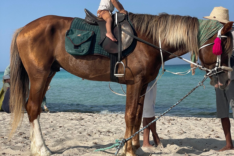 Djerba: 1,5-stündiger Ausritt an den Stränden der Insel und durch die Lagune