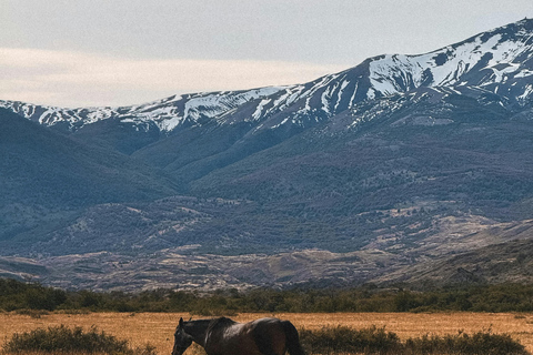 阿根廷：潘帕斯草原上的高乔骑马探险