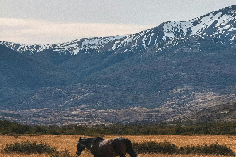 阿根廷：潘帕斯草原上的高乔骑马探险