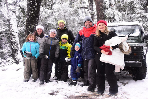 Canopy Half-Day Tour in Bariloche Canopy Half-Day Tour in Bariloche - Morning Departure