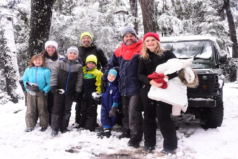 Canopy Half-Day Tour in Bariloche Canopy Half-Day Tour in Bariloche - Morning Departure