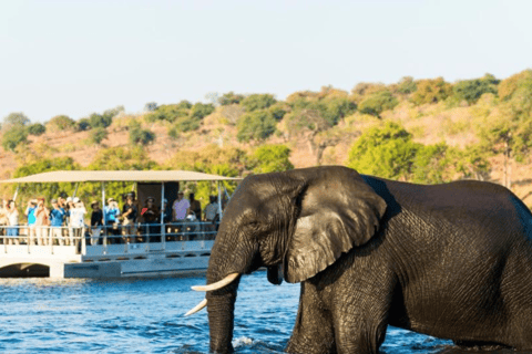 Chobe : Sunset Cruise