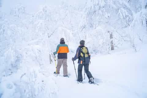 The BEST Hokkaido Snowshoe tours 2025 FREE Cancellation