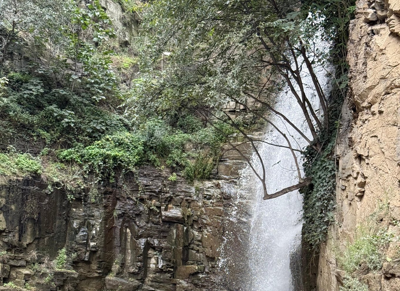 Oplevelse med byvandring i Tbilisi, vinsmagning og bådtur på floden