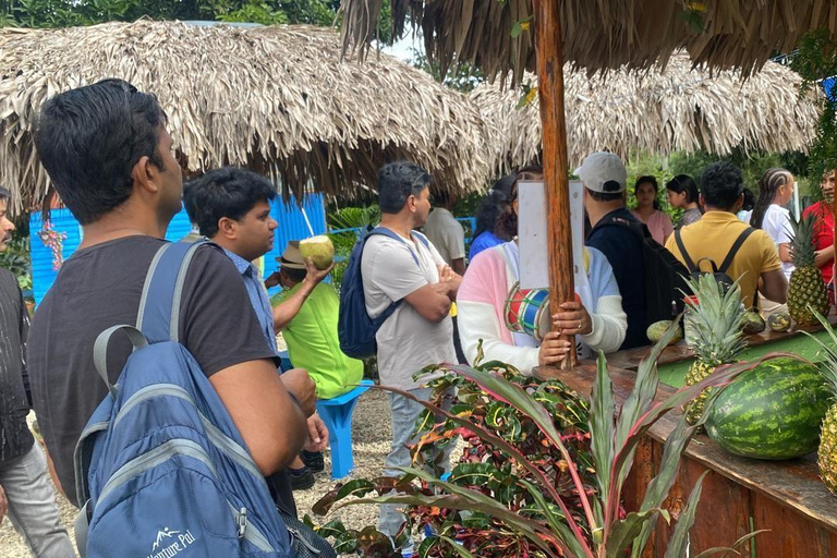 Puerto Plata: City and Countryside Tour with Tastings